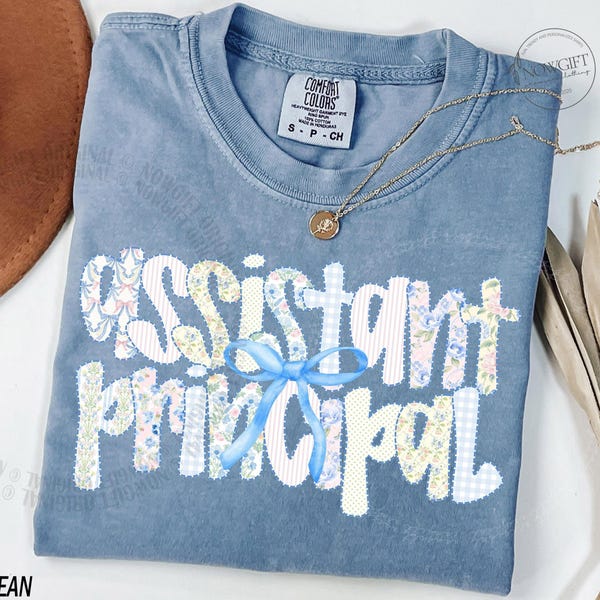 Camiseta de subdirector, regalo para el Día del Maestro, regalo para el director, camiseta de agradecimiento al maestro, camisetas de regreso a clases, Comfort Colors®