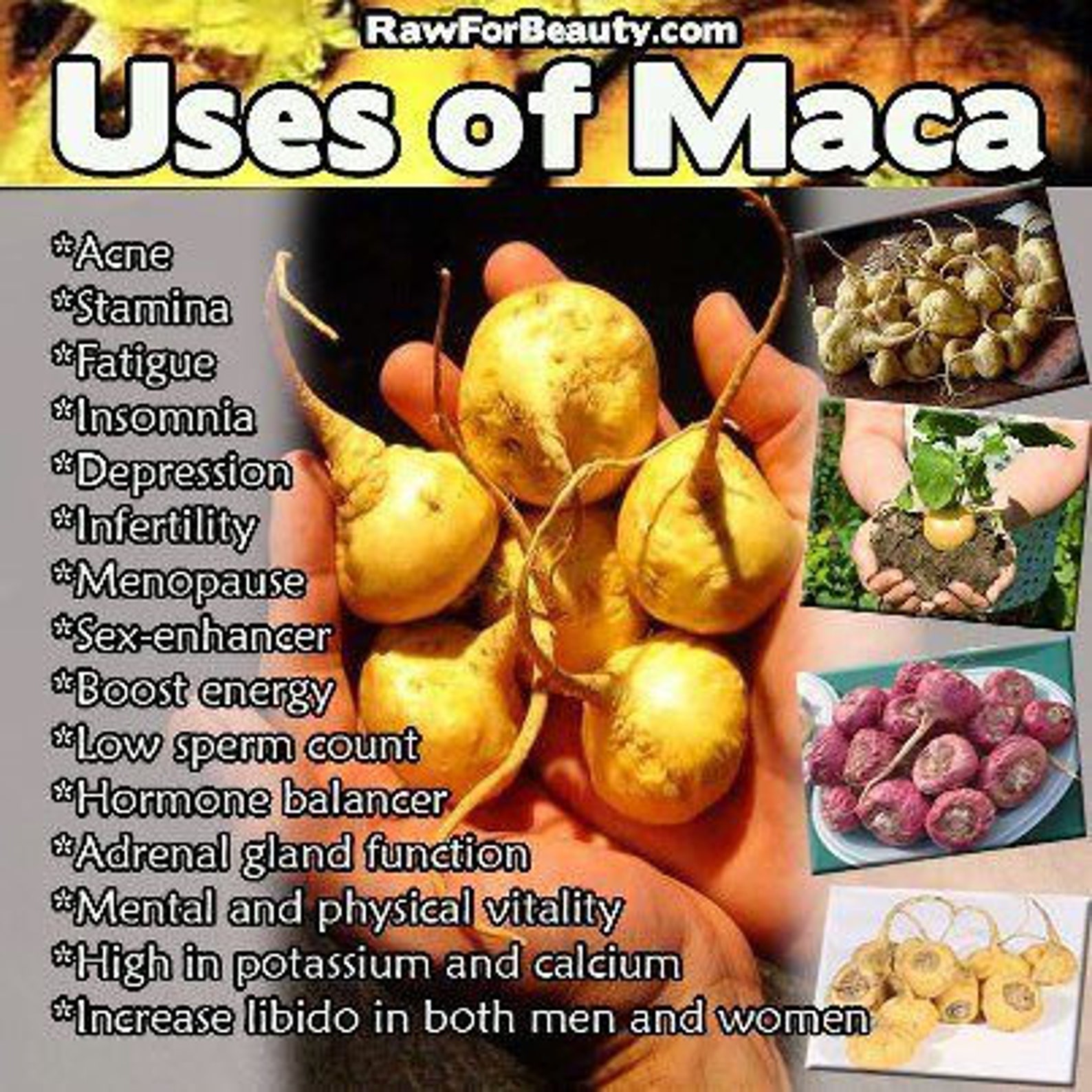 60 Racine de Maca &Fenugrec Capsules Fessier / Butin / Fesses Etsy