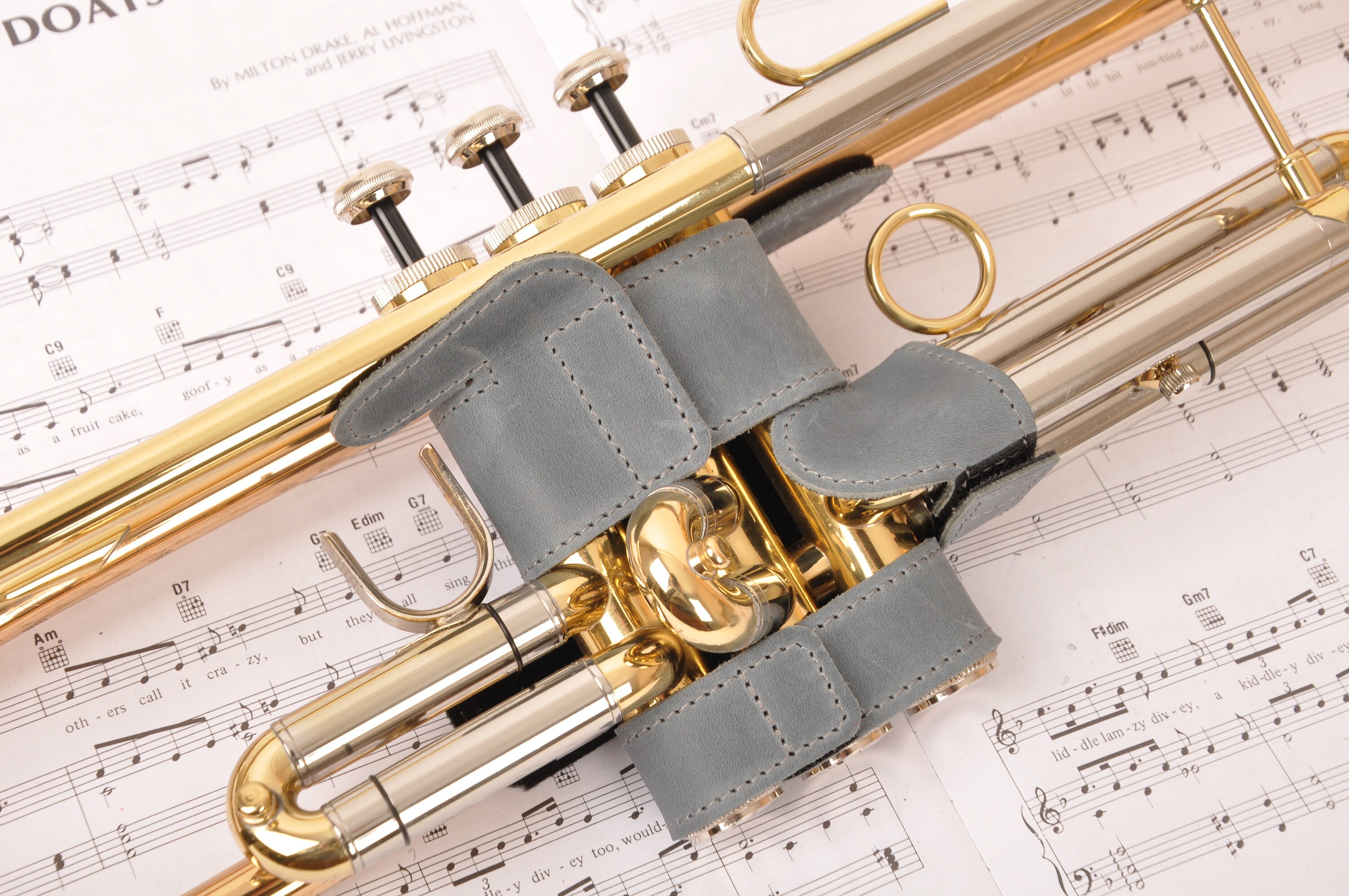 Trumpet valve protector, trumpet valve guard