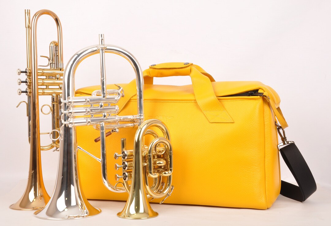 Trumpet Bag, Double/triple Gig Bag for Trumpet, Flugelhorn,