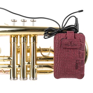 May include: A brass trumpet with a black cable and a burgundy leather case. The case has a textured pattern and the name "Liam" printed on it. The trumpet is partially visible, showing its valves and bell.