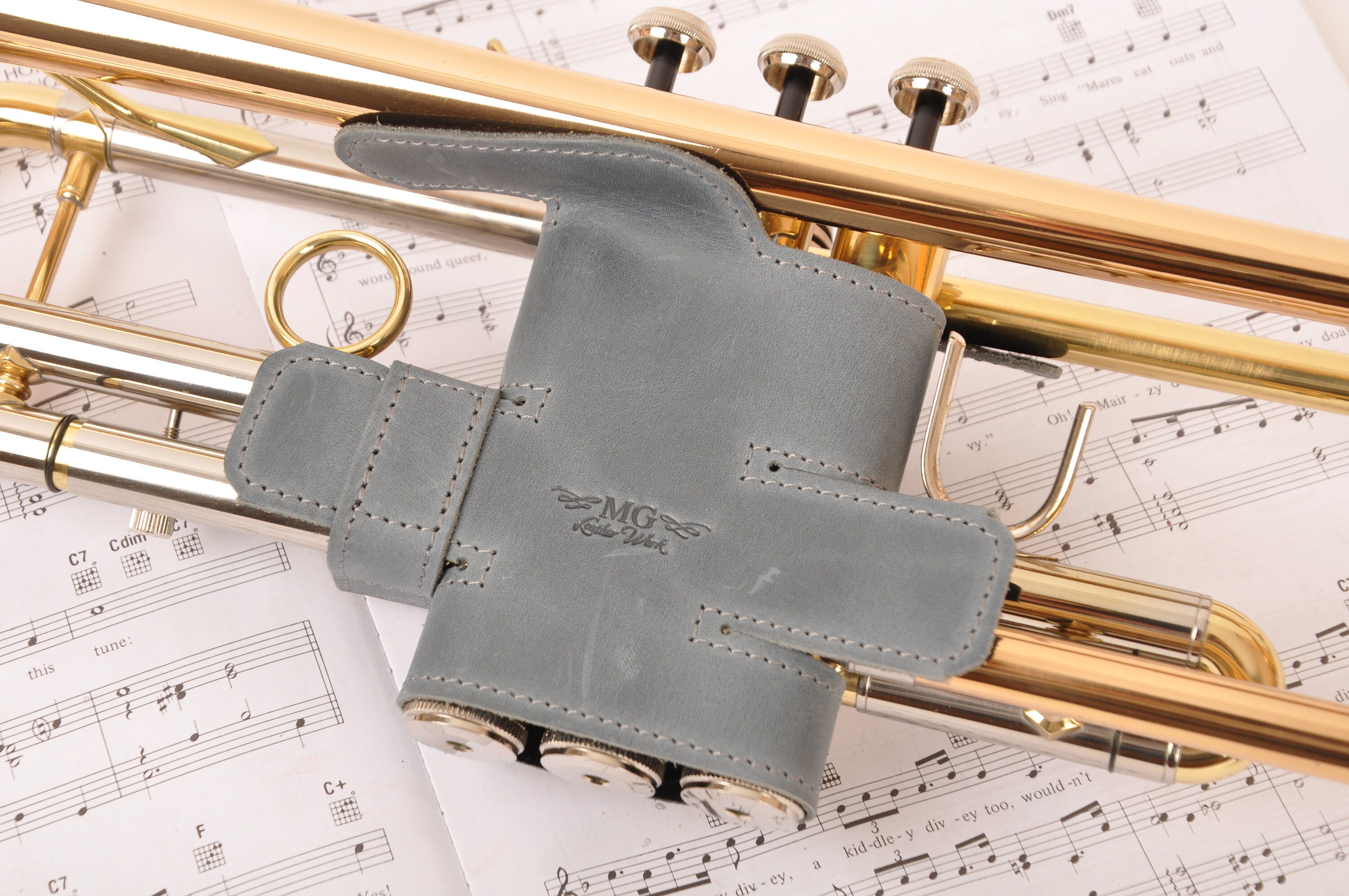 Trumpet valve protector, trumpet valve guard