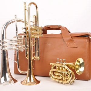 Trumpet protective case, double/triple trumpet bag, cornet, piccolo, pocket trumpet, C trumpet, flugelhorn, Personalized trumpet bag,