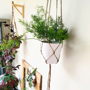 May include: A white ceramic planter with a green plant hanging from a macrame rope holder. The plant is hanging from a wooden beam on a white wall.