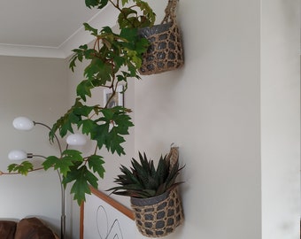 May include: Two hanging plant pots with macrame plant hangers. The pots are gray and the hangers are made of natural fiber rope. The plants are a green leafy vine and a succulent.