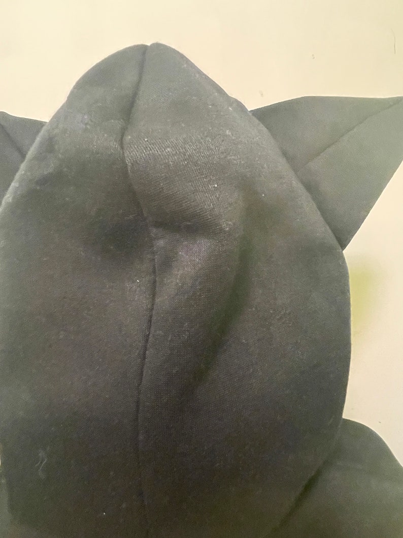 Puede incluir: Sudadera con capucha negra con orejas de gato. La capucha est&aacute; levantada y las orejas apuntan hacia arriba.