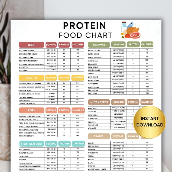 High Protein Food List and Low Carb Food Chart, Keto Grocery and Meal Plan for Muscle Building and Weight Loss, Printable Nutrition Guide