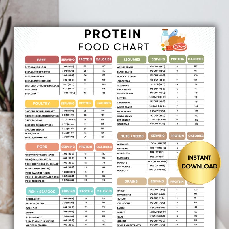 High Protein Food Chart for Muscle Building and Weight Loss, featuring color-coded categories for easy reference, including high protein foods, low carb options, and foods ideal for a healthy, balanced diet. Instant download available.