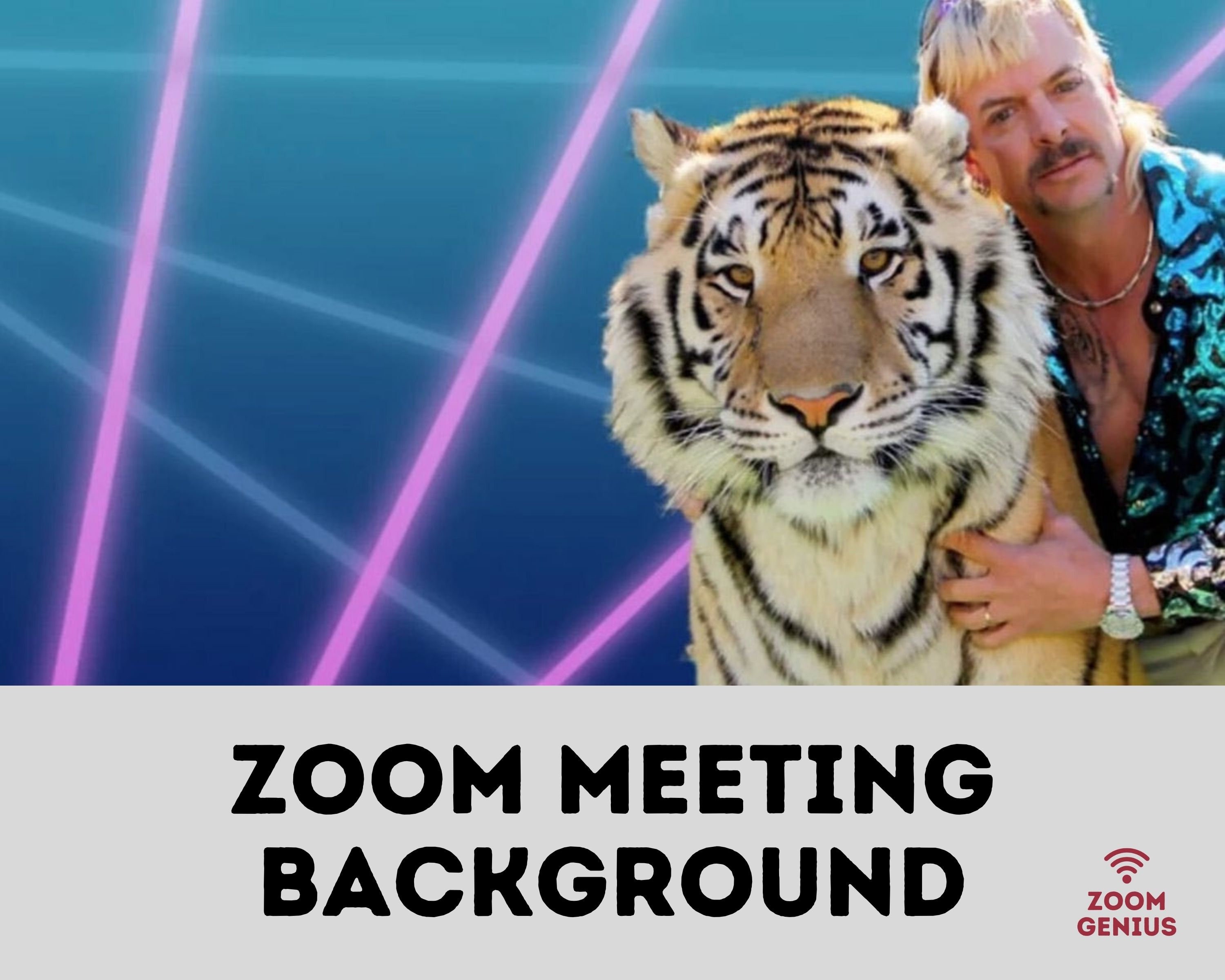 Tiger King Zoom Background These 15 Tiger King Zoom Backgrounds Images