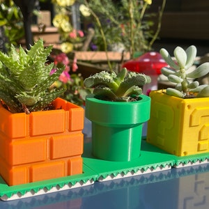 May include: Three small succulent plants in themed pots. The pots are designed as a brick block, a green pipe, and a yellow question mark block. The plants sit on a green tray with a white and green border.