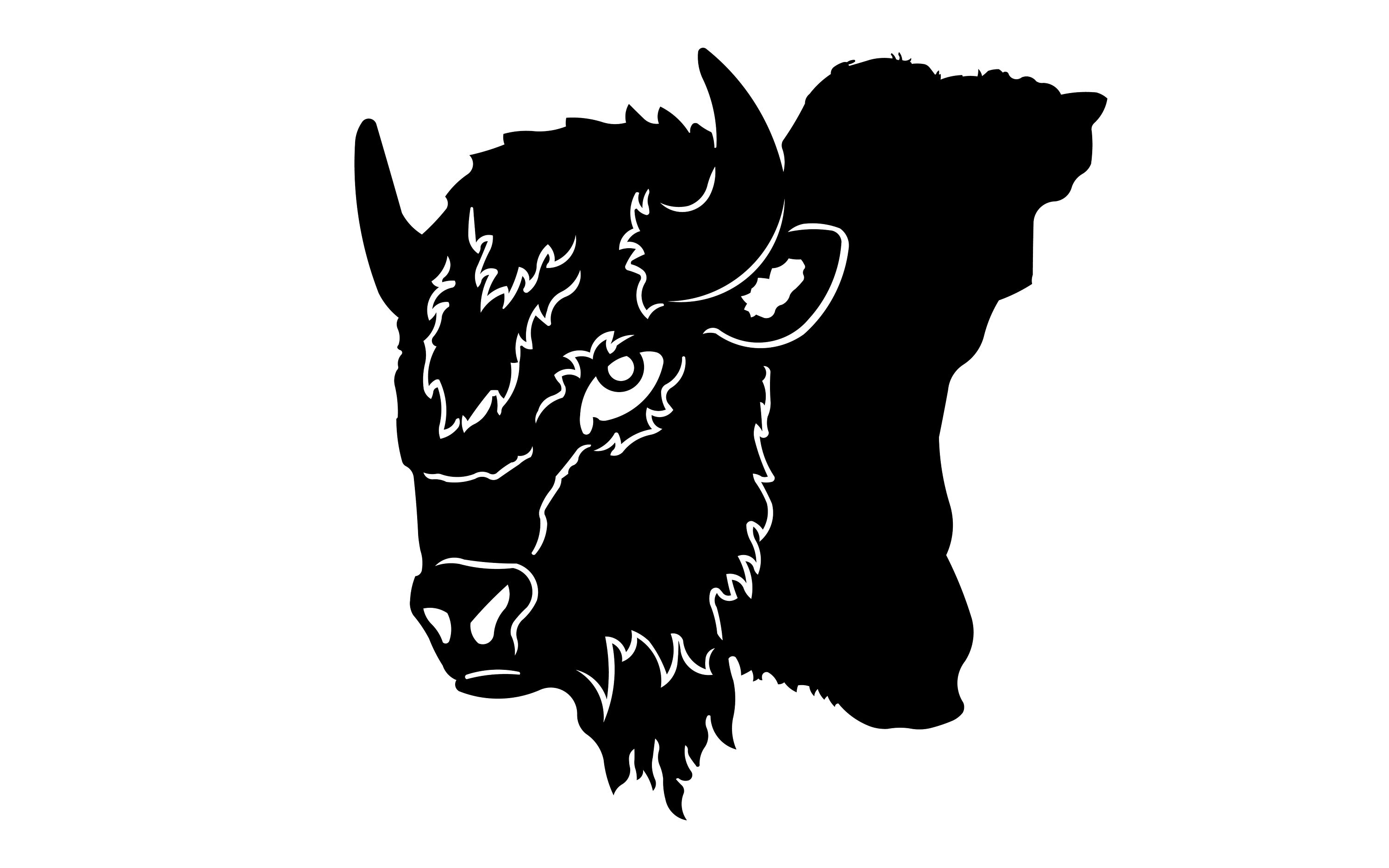 Buffalo Head Cnc Plasma Design Vector Laser Design Dxf Files CDR, Svg