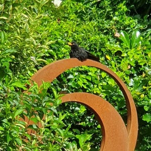 May include: A black bird perched on a rusty metal sculpture in a garden setting. The sculpture is made of two large circles, one inside the other, with a rough, textured surface.