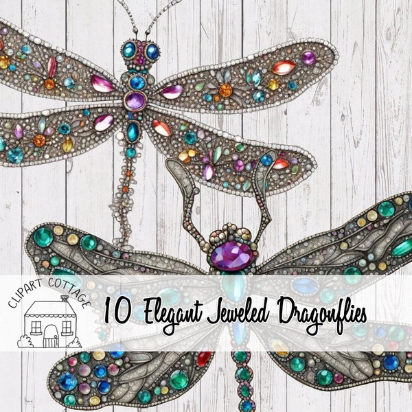 Jewel Crested Ornate Dragonfly Dragonflies Clipart PNG Instant Download