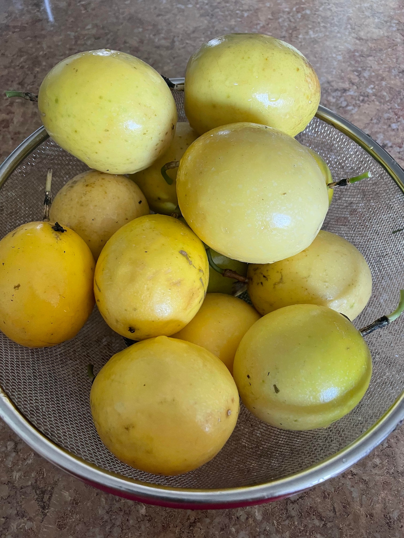 Organic Passion Fruit, Fresh, Yellow, Parcha, Chinola, Maracuya 3 Lbs