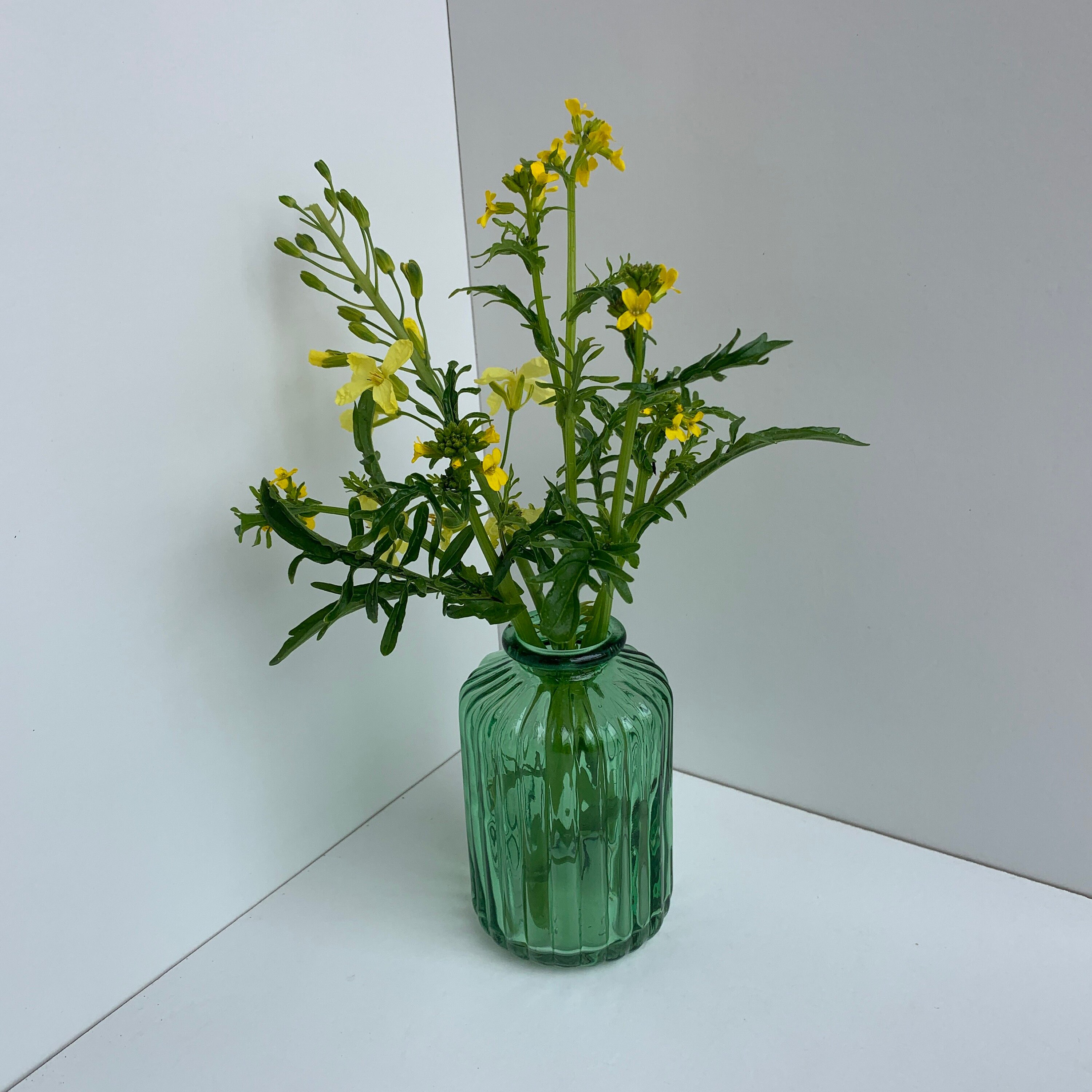 Set of Traditional Glass Vases Vintage Design Botanical Etsy UK