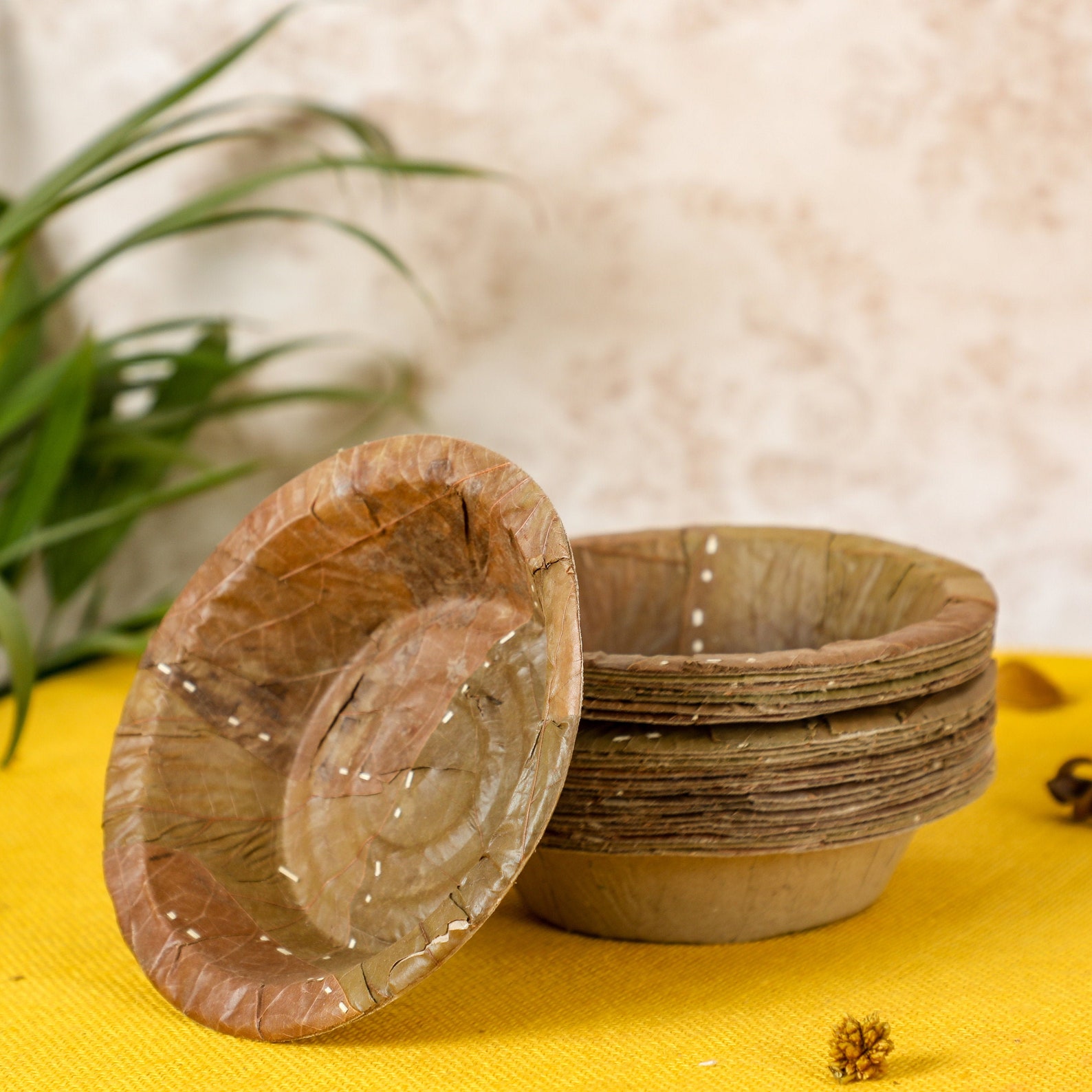 Desifavors Sal Leaf Disposable Bowls 6 Inch set of 25 Etsy UK