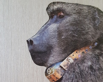 Series "Bling-Bling II" with jewelry