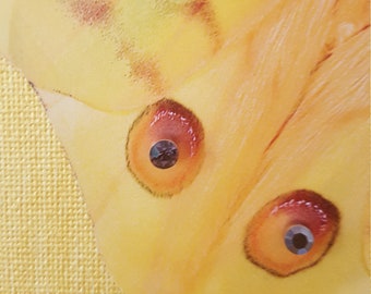 Series "Bling-Bling II" with jewelry