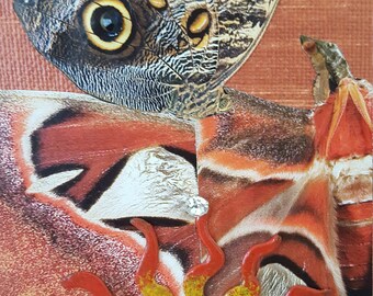 Series "Bling-Bling II" with jewelry