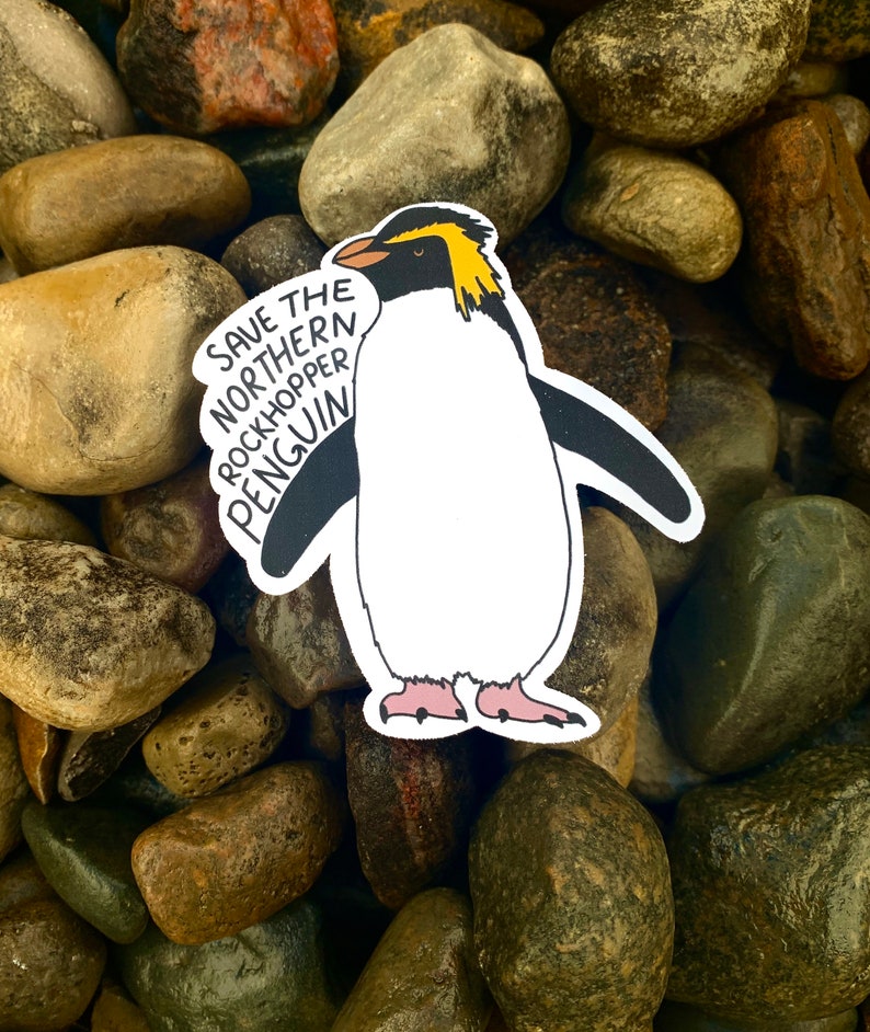 Penguin Endangered Species Waterproof Vinyl Sticker Pack - Etsy