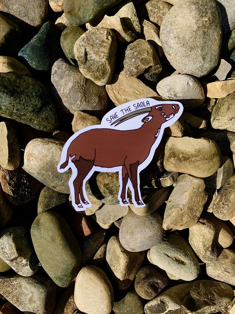 Saola Endangered Species Waterproof Vinyl Sticker Saola - Etsy Ireland Saola Endangered Species Waterproof Vinyl Sticker Saola - Etsy Ireland