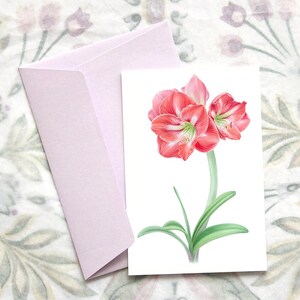Cartolina floreale A6, illustrata con fiore rosso di Amaryllis, cartolina fatta a mano, mini cartolina artistica botanica, dipinto ad acquerello, cartolina di Amaryllis.