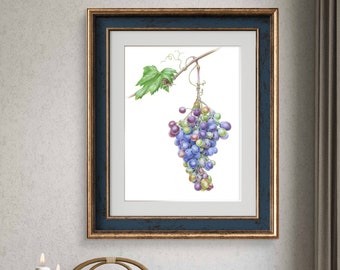Decorazioni per la casa di lusso: pittura ad acquerello botanico originale di uva viola - arte moderna della frutta.