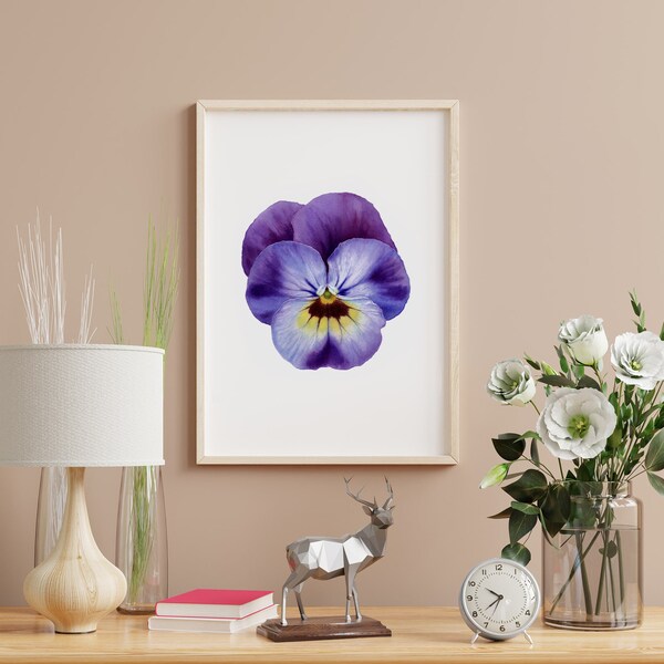 Pansy Watercolor Paintings Etsy