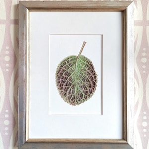Arte de pared enmarcado, pintura de acuarela ORIGINAL de la hoja de la planta Episcia, ilustración botánica realista, regalo de inauguración de la casa.