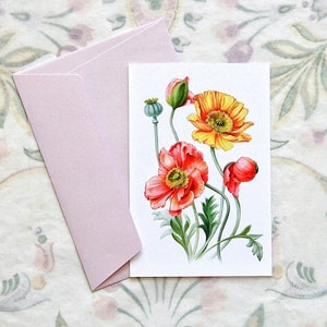 Botanische Postkarte mit Mohnblumen A6, Handgemachte Postkarte, Aquarell Postkarte, Kunstkarte Mohnblumen, Blumenpostkarte, Wildblumenpostkarte.