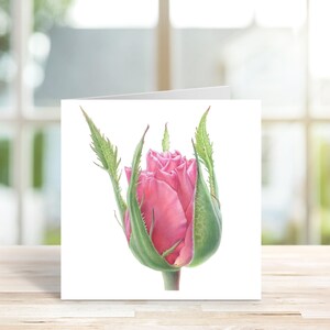 Tarjeta de nota de acuarela, Tarjeta de flor rosa, Tarjeta hecha a mano, Tarjeta de felicitación de rosa rosa, Tarjeta de nota botánica, Tarjeta floral en blanco, Tarjeta de cumpleaños de rosa.