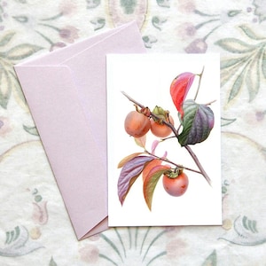 Pocztówka ilustrowana owocami kaki, pocztówka akwarelowa, pocztówka ręcznie robiona, pocztówka botaniczna A6, pocztówka kwiatowa, miniaturowy wydruk artystyczny.