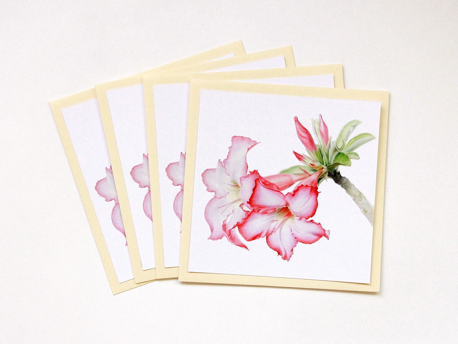 Original Art Blank Note Cards, Set of 4 Greeting Cards, Watercolour