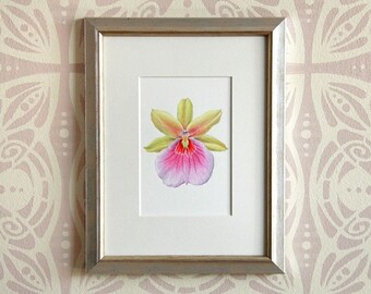 Ingelijste botanische kunst aan de muur, originele handgeschilderde aquarelkunst, botanische aquarelschildering van orchideebloem.