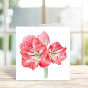 Biglietto di auguri floreale, biglietto con fiori di amarilli, biglietto fatto a mano, biglietto acquerello, biglietto di Natale, biglietto botanico, biglietto vuoto floreale, biglietto di auguri.