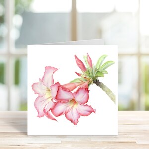Botanische notitiekaart, adeniumbloemkaart, handgemaakte wenskaart, kaart voor alle gelegenheden, botanische wenskaart, aquarelkaart.