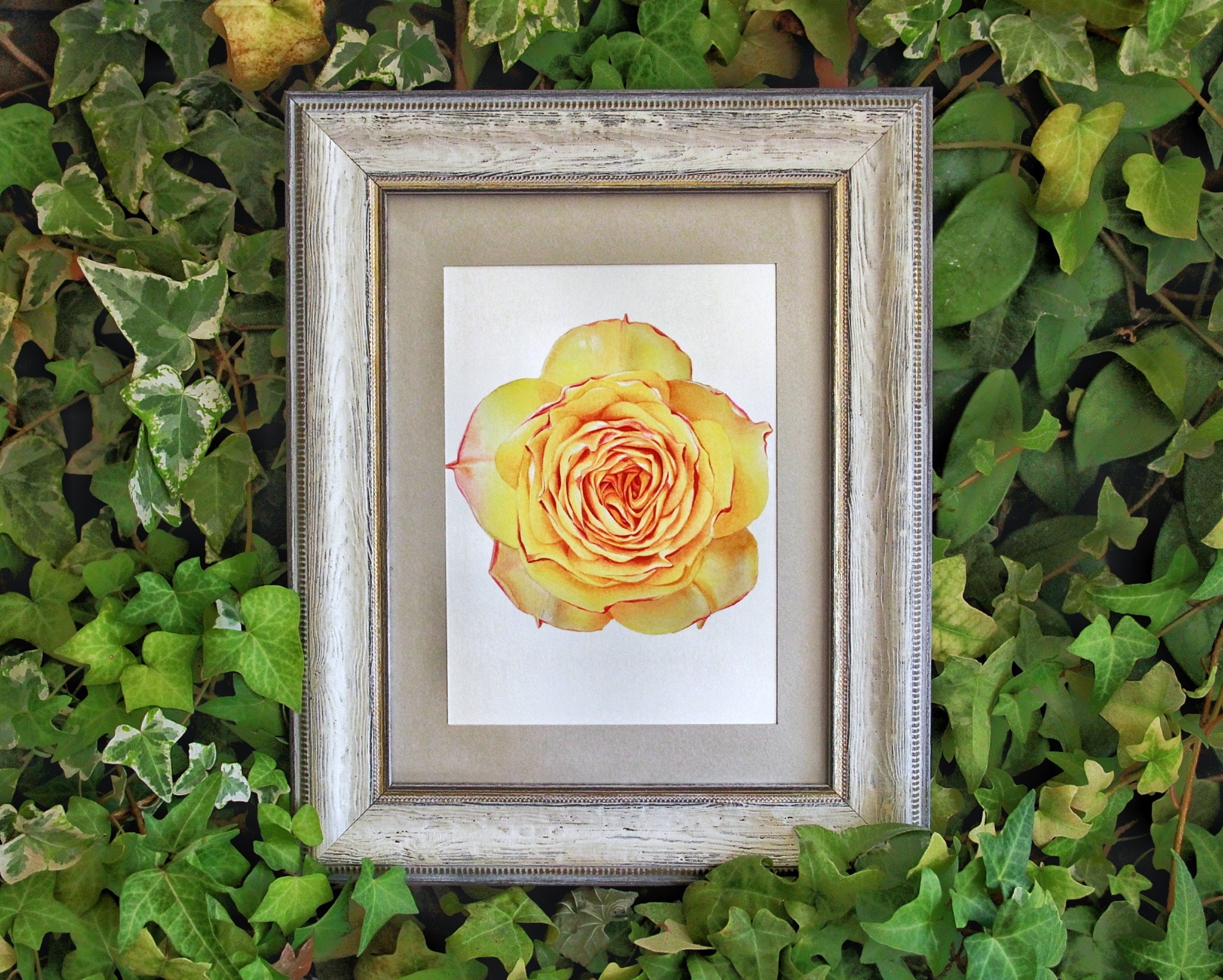Watercolor Botanical Print of Yellow Rose Flower Floral Art | Etsy