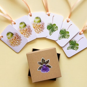 Étiquettes-cadeaux avec illustrations de plantes, glands et feuilles de lierre, lot de 6 mini-cartes, étiquettes d'emballage cadeau, petites cartes-cadeaux.