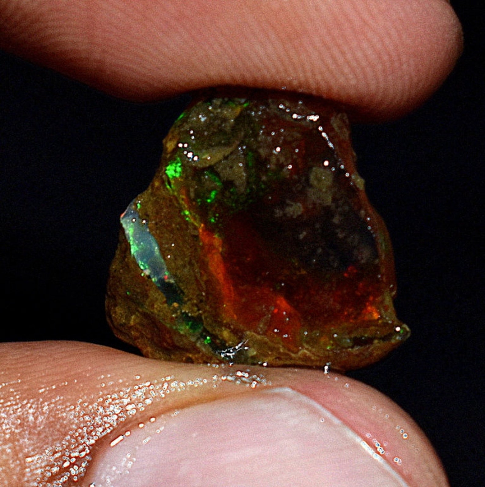 Rainbow Fire Opal Rough Raw OpalWelo Opalflash Fire Opal | Etsy