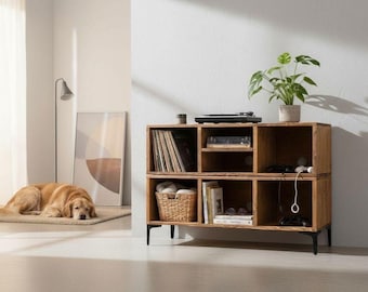 Rustic TV Stand With Shelves | Vinyl Record Storage | Media Console Unit | LP Display Cabinet With Amp Shelf | Loft Style Japandi Furniture