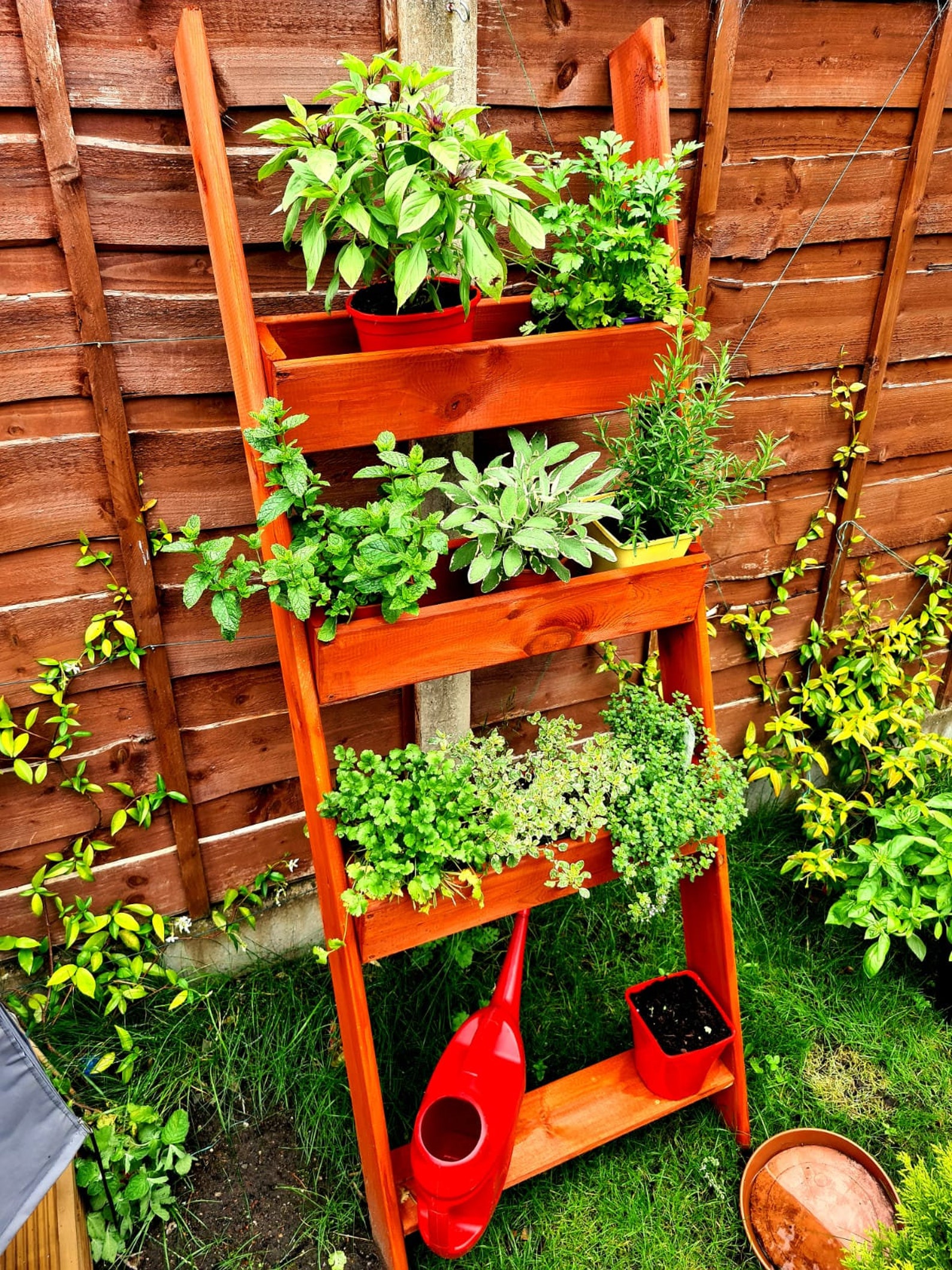 Wooden Planter Ladder Outdoor Herbs Plants Flowers Etsy Canada