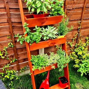 Pflanzschale aus Holz - Outdoor, Kräuter, Pflanzen, Blumen, Sträucher, Deko, Blumenbeet, Accessoire, Garten, Holz, handgemacht, rustikal, maßgeschneidert