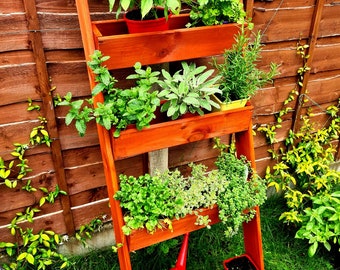 May include: A wooden ladder shelf with four tiers, each holding a potted plant. The plants include herbs like basil, mint, rosemary, and sage. A red watering can is on the bottom shelf.