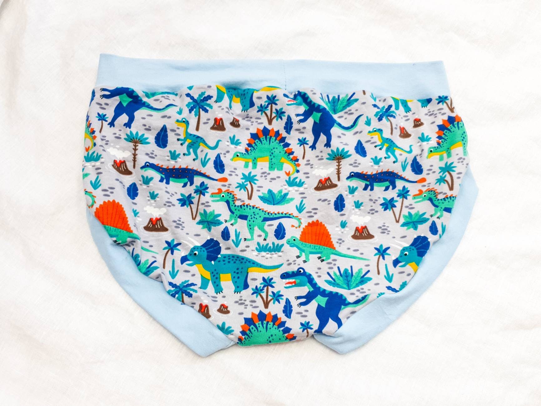 DDLG Dinosaur Panties Little Space Underwear ABDL Ageplay Etsy