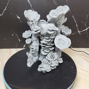 Mushroom Fungus Dice Tower - Amazing Detail in everyway - 3d printed in virtually any colour - 20% infill - Sit your dice on the mushrooms