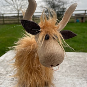 Peut inclure: Une vache &eacute;cossaise en bois jouet avec une fourrure brune et un anneau de nez en cuivre. La vache a une longue crini&egrave;re hirsute et une expression amicale.