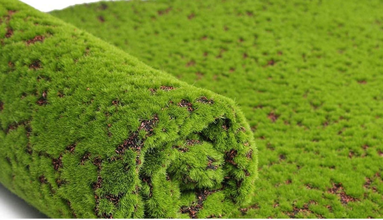 Artificial Moss Mat Fake Grass Turf Lawn Plants Lichen for Etsy