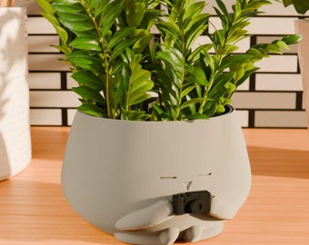 Gemütlicher kleiner Kerl mit Kamera-Blumentopf | Niedlicher Pflanzer für Fotografen Geschenk | Kamera Geschenk | Niedlicher 3D gedruckter Blumentopf / Pflanzengefäß
