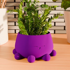 Puede incluir: Una maceta de color púrpura vibrante con un diseño caprichoso, con una cara y pies redondeados. La maceta está llena de exuberante follaje verde, creando un contraste llamativo. Esta maceta decorativa es una adición única a cualquier decoración del hogar.