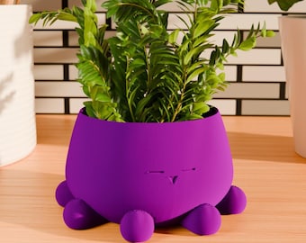 Acogedora maceta de pulpo, regalo para amantes de los pulpos, maceta de animales marinos de interior, moderna maceta para suculentas, decoración del hogar, maceta con forma de pez.